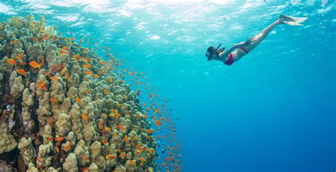 Snorkeling Bliss: Exploring the Crystal-clear Waters of Magic Island